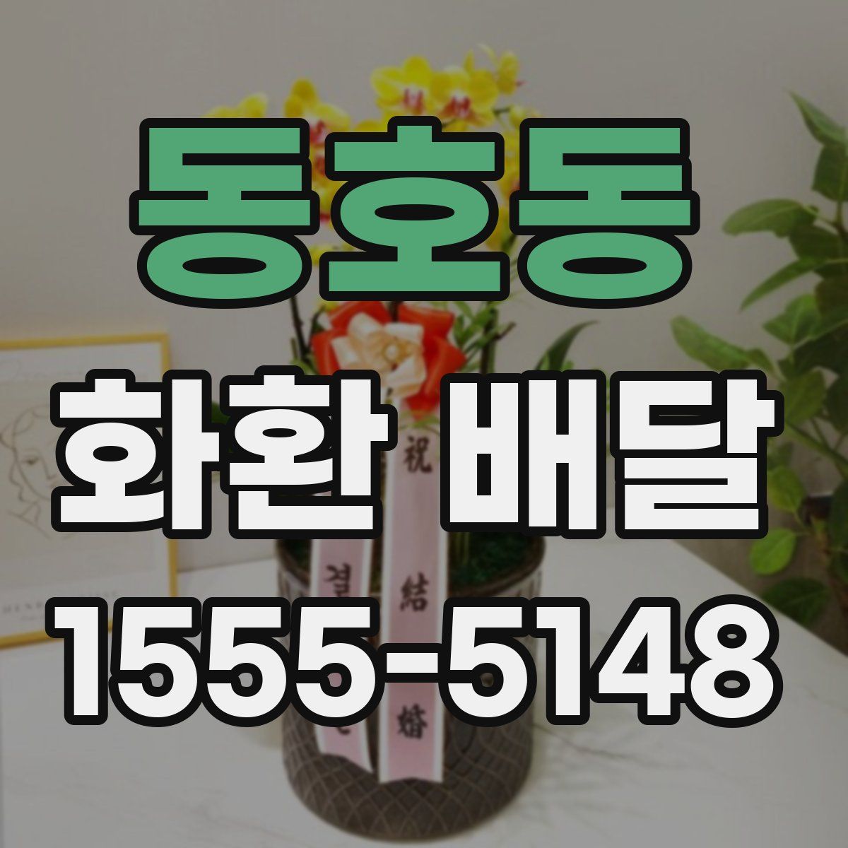 동호동 화환 배달