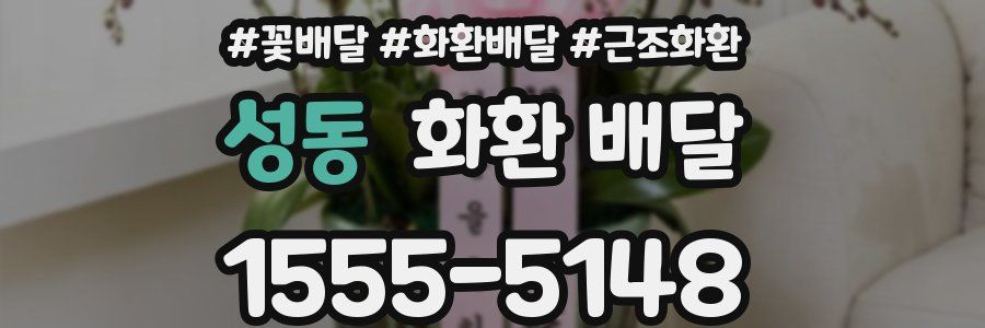 성동 화환 배달