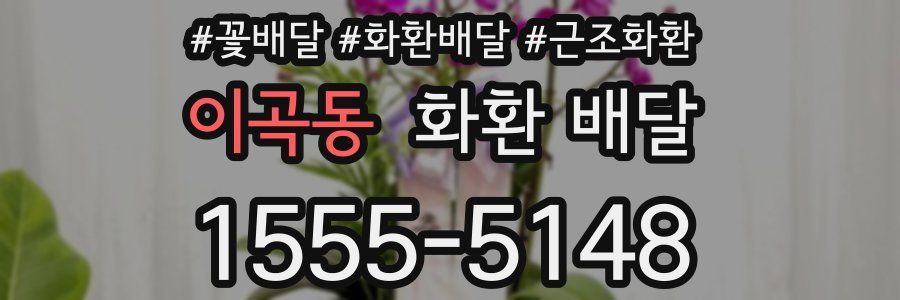 이곡동 화환 배달