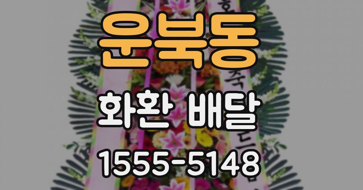 운북동 화환 배달