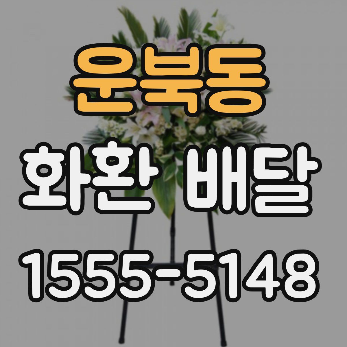 운북동 화환 배달