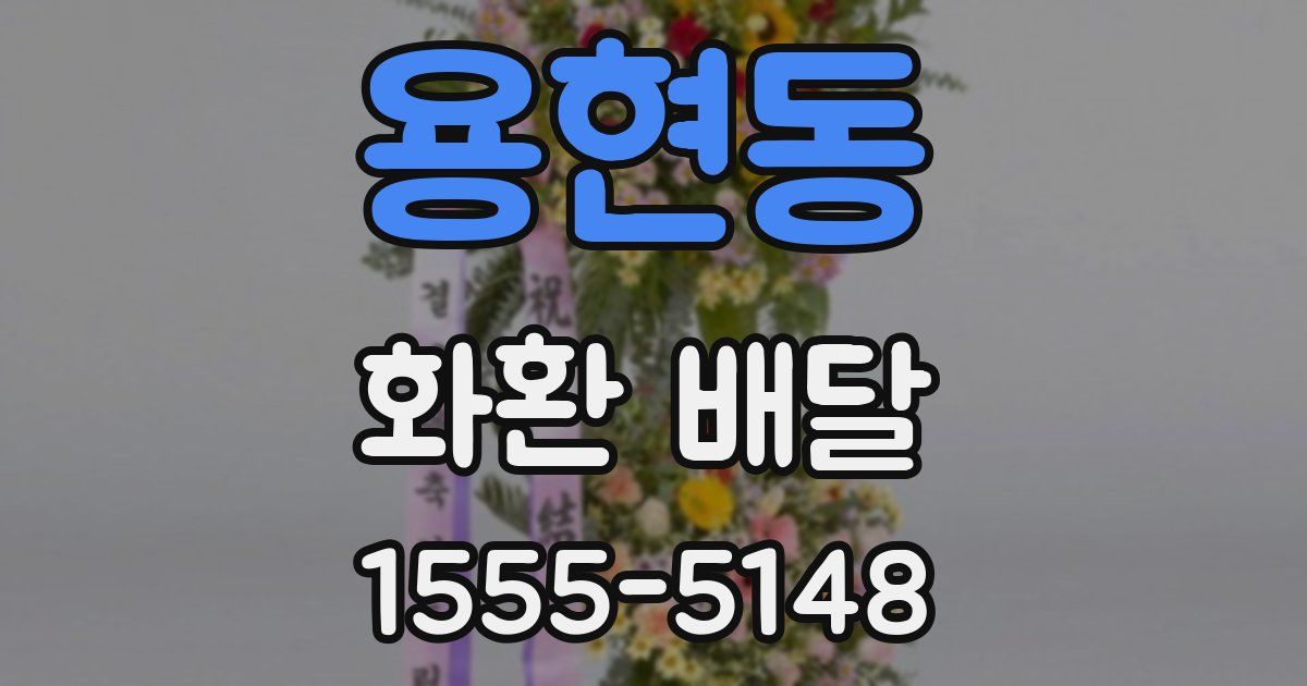용현동 화환 배달