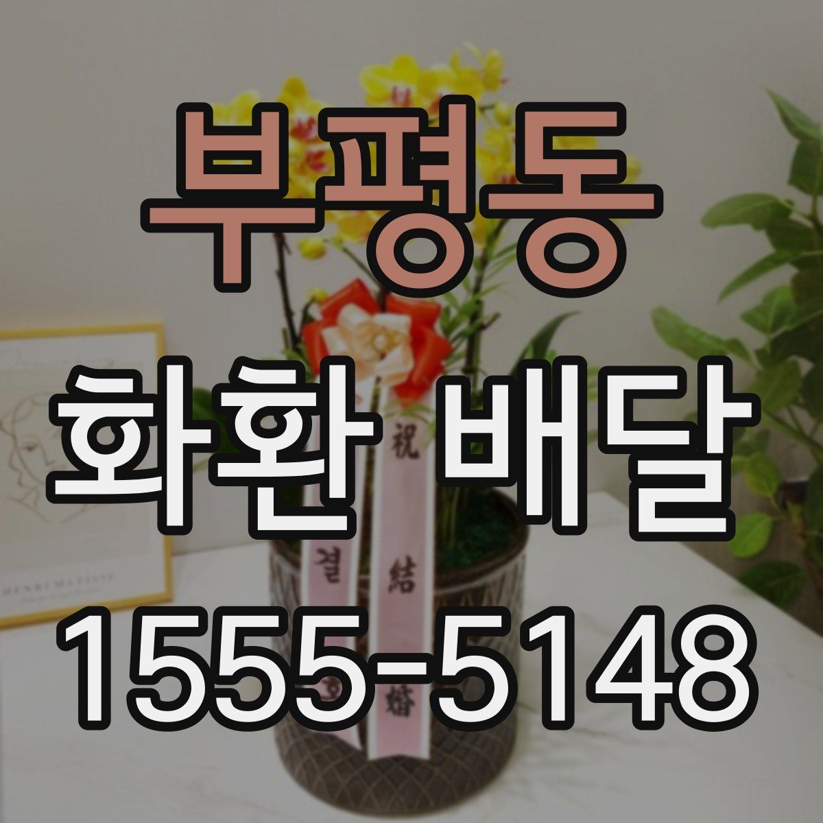 부평동 화환 배달