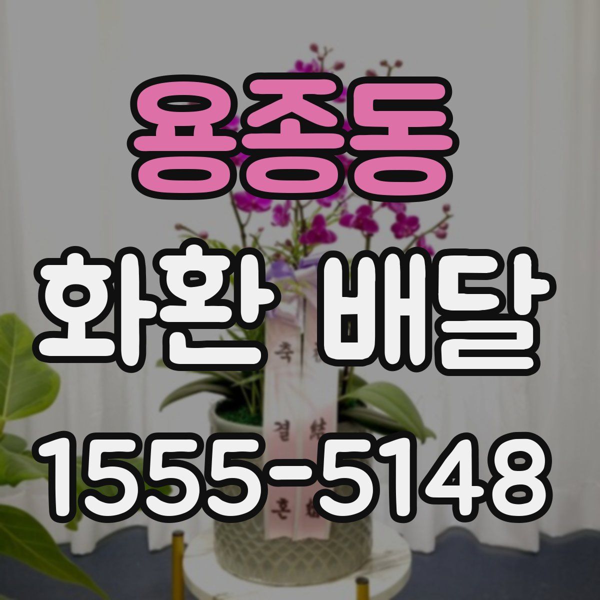 용종동 화환 배달