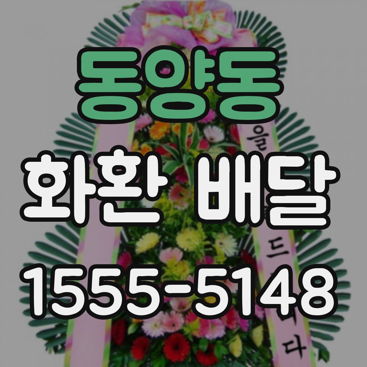 동양동 화환 배달