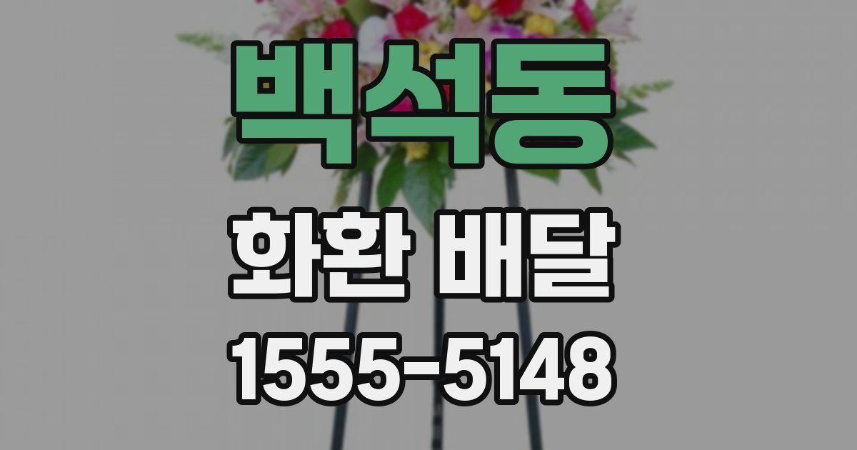 백석동 화환 배달