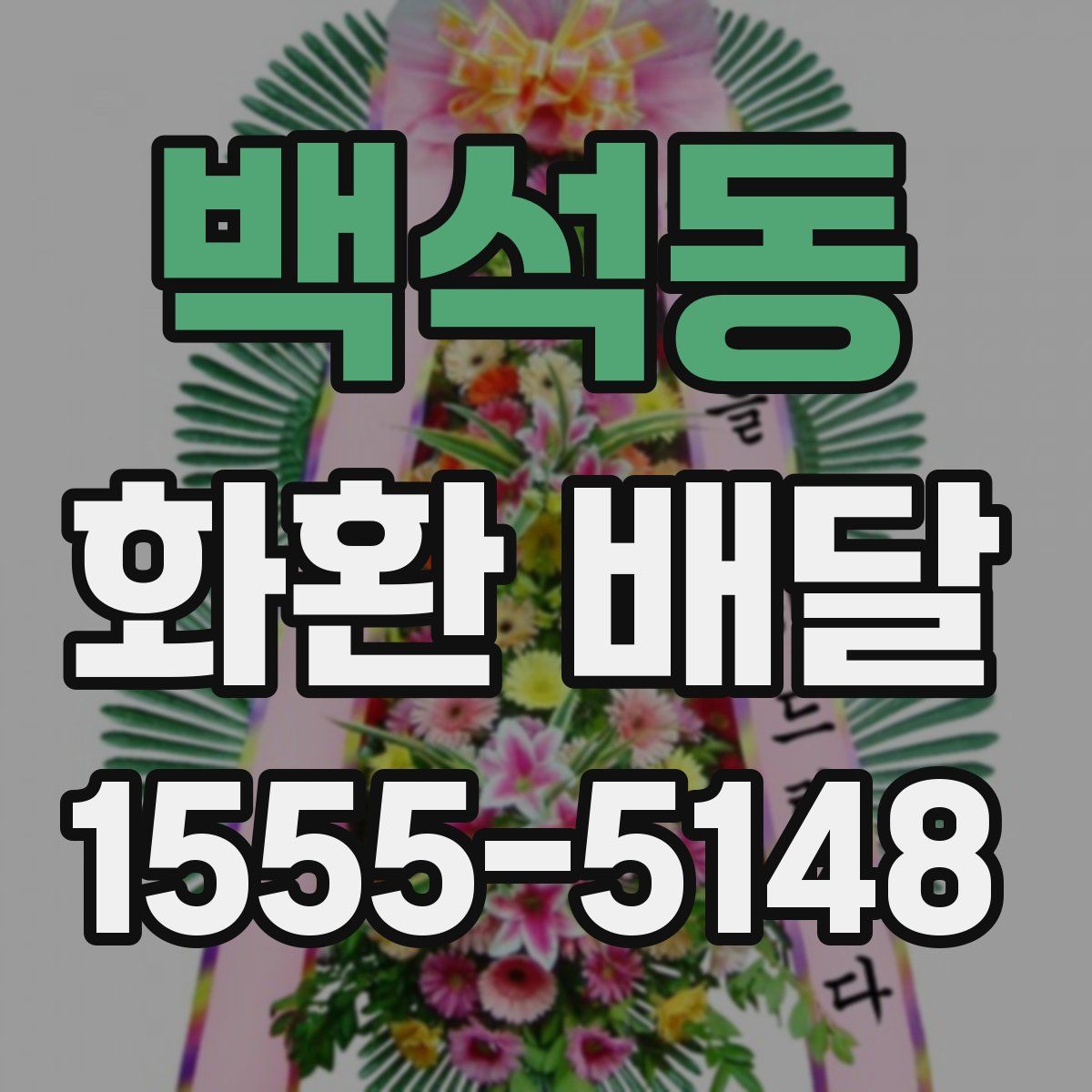 백석동 화환 배달