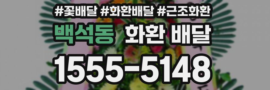 백석동 화환 배달