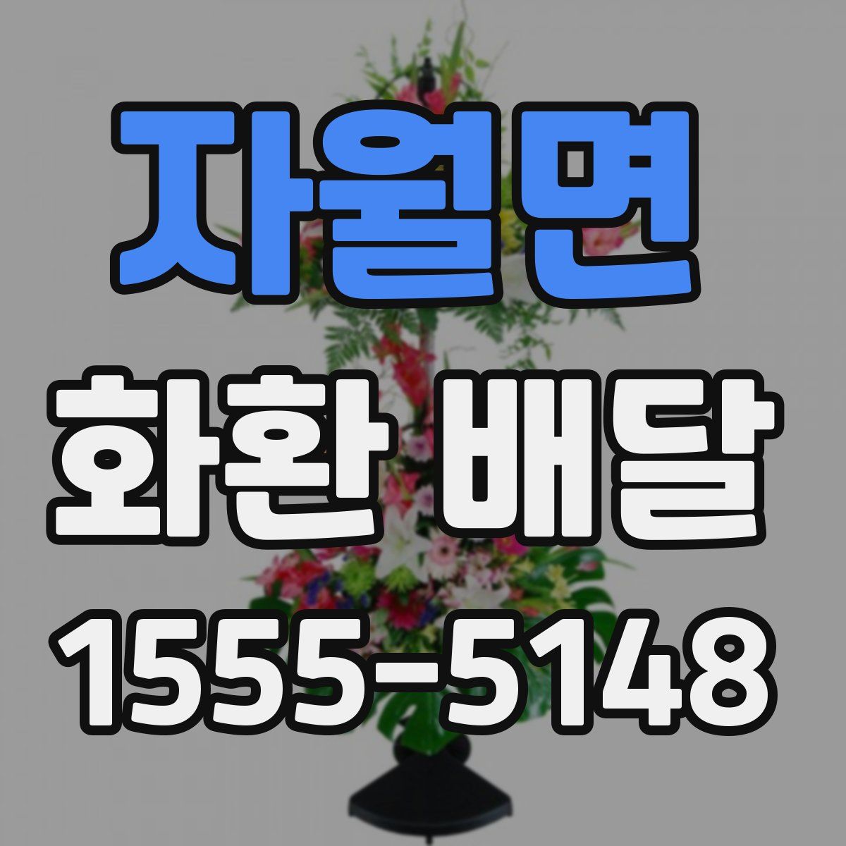자월면 화환 배달