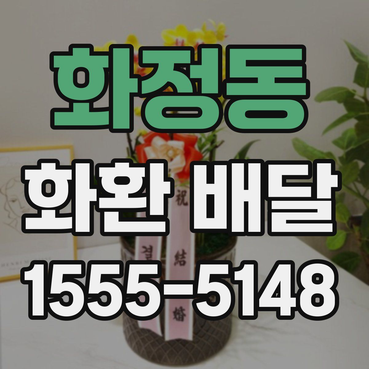 화정동 화환 배달