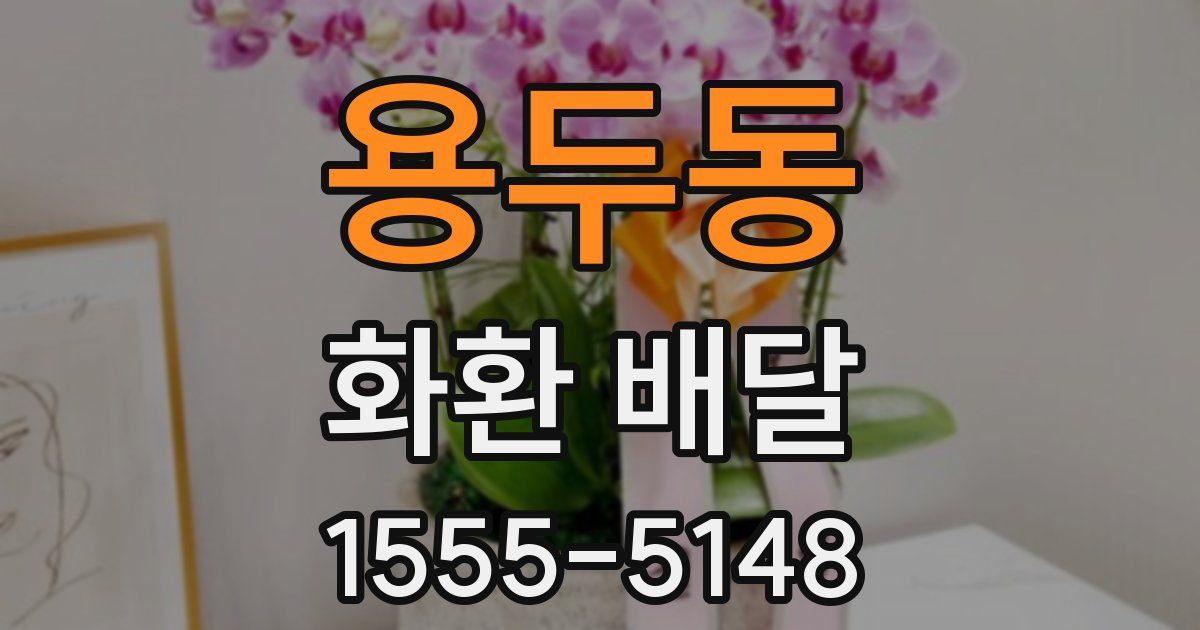 용두동 화환 배달