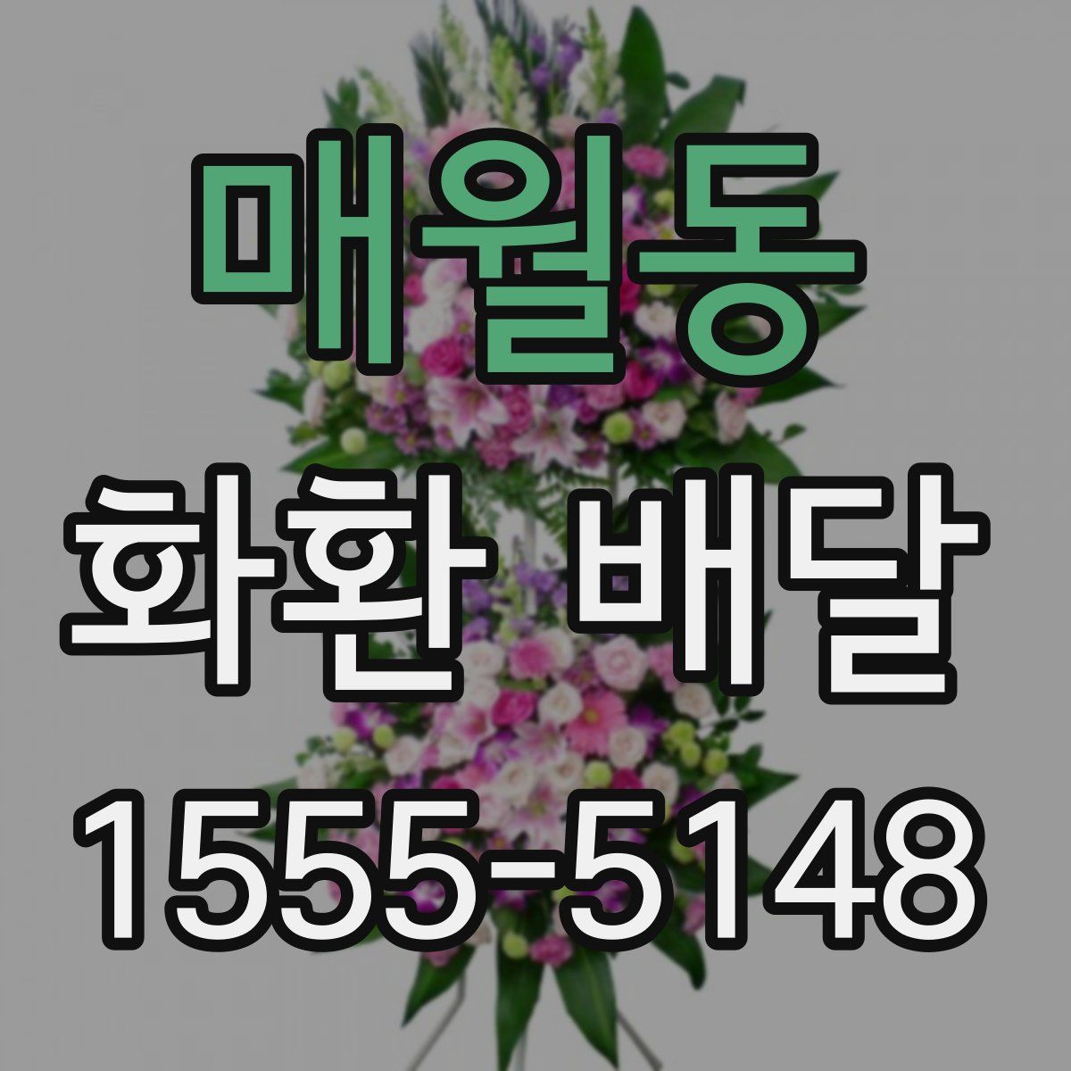 매월동 화환 배달
