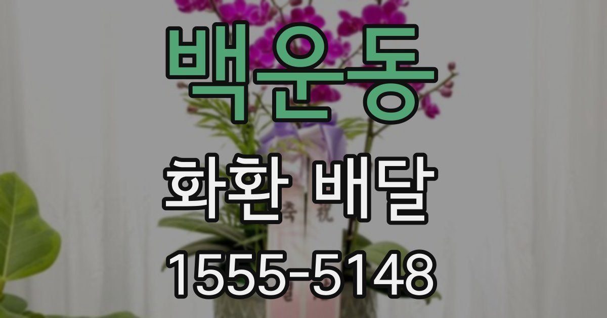 백운동 화환 배달