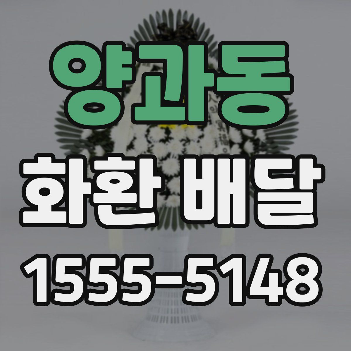 양과동 화환 배달