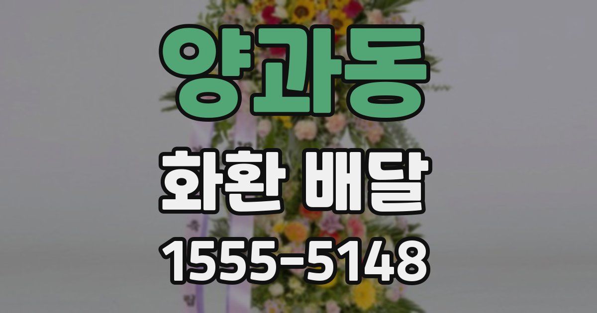 양과동 화환 배달