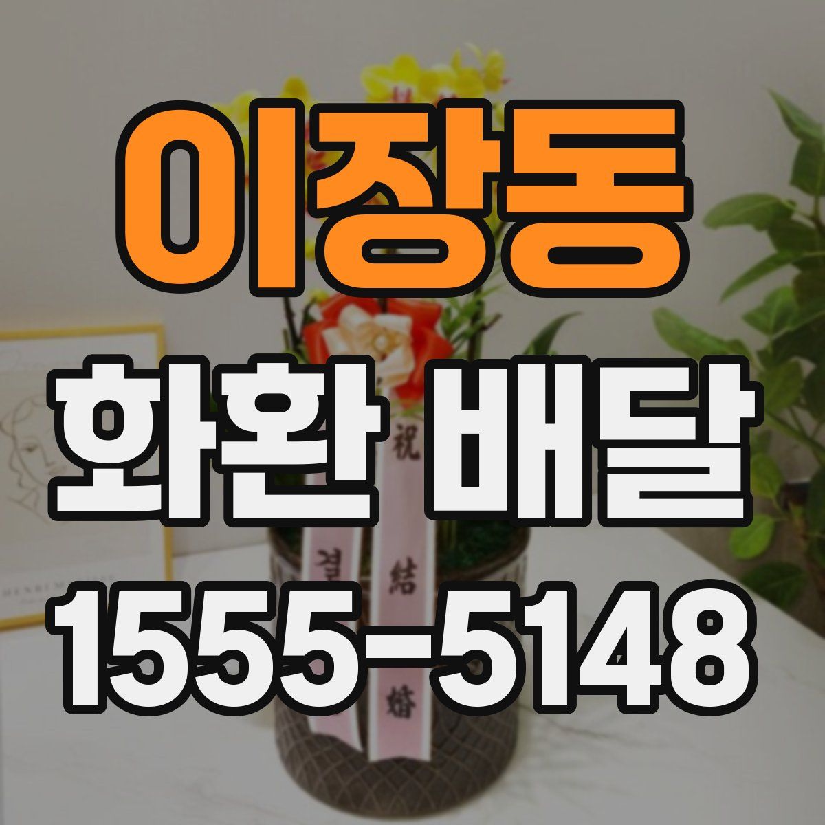 이장동 화환 배달