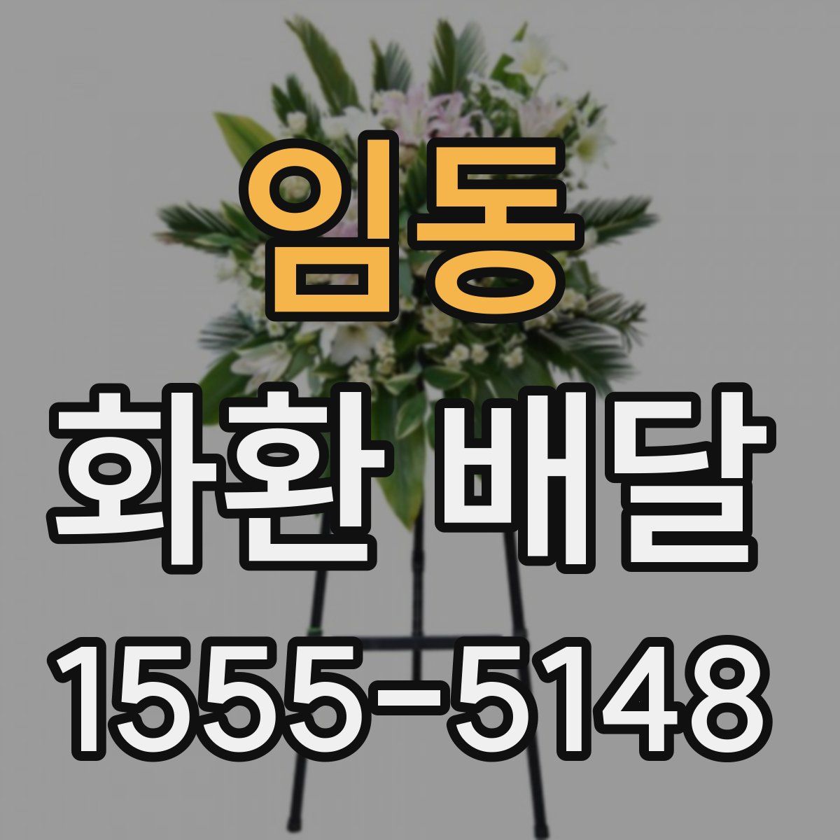 임동 화환 배달