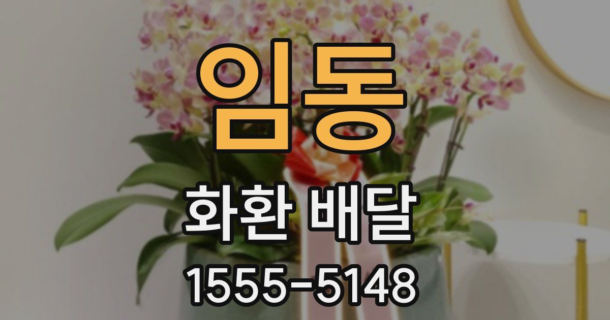 임동 화환 배달