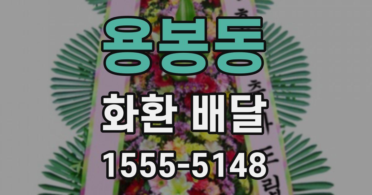 용봉동 화환 배달