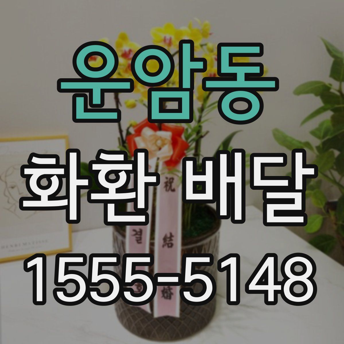 운암동 화환 배달