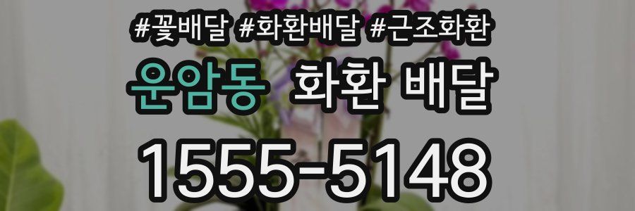 운암동 화환 배달
