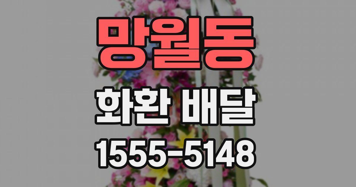 망월동 화환 배달