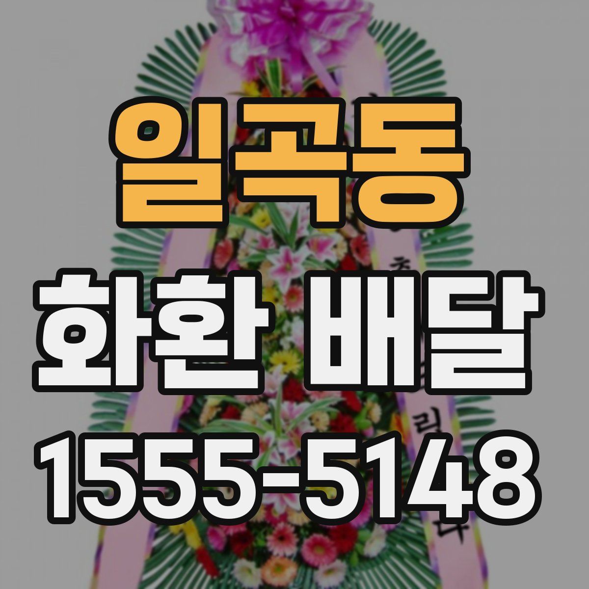 일곡동 화환 배달