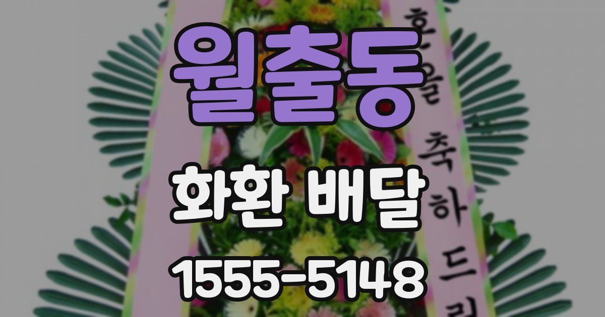 월출동 화환 배달