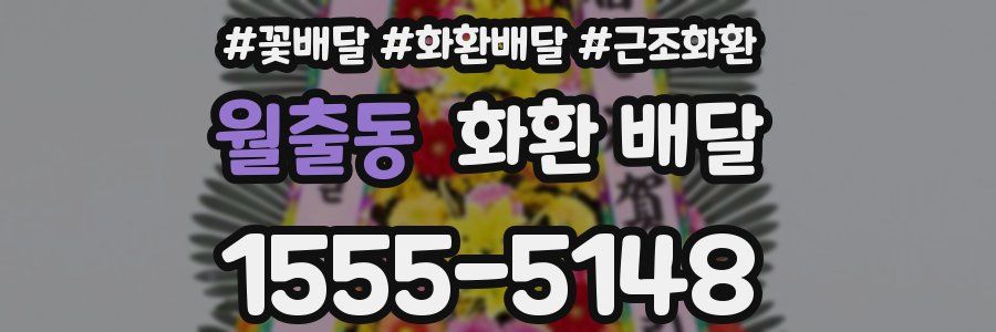 월출동 화환 배달