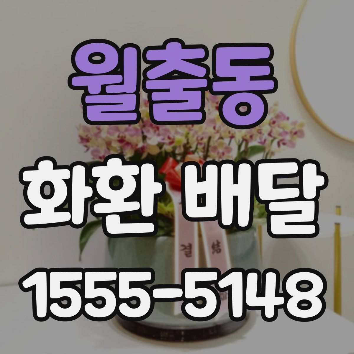 월출동 화환 배달
