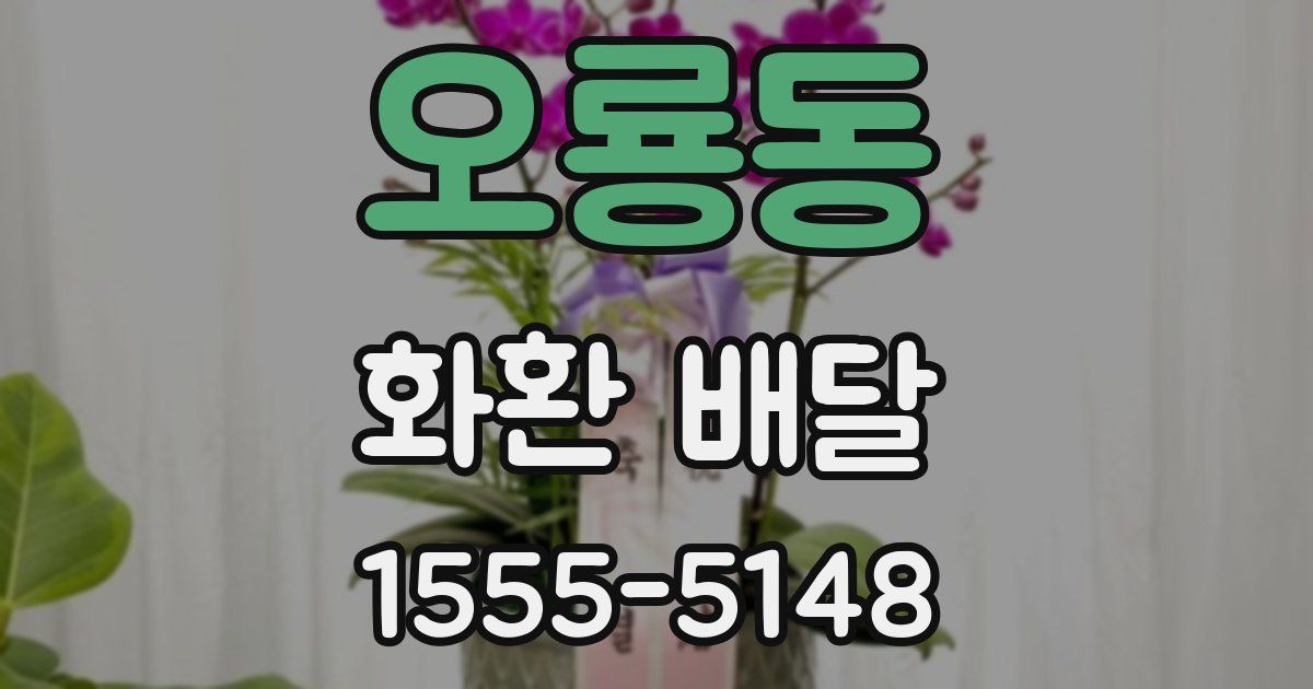 오룡동 화환 배달