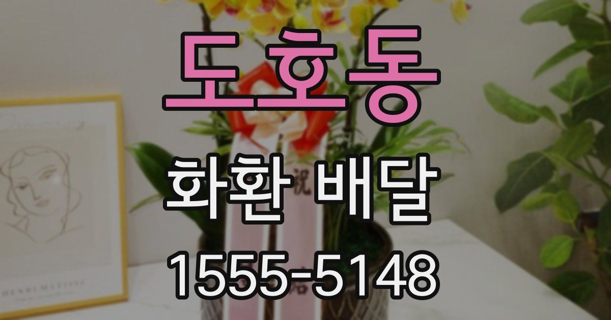 도호동 화환 배달