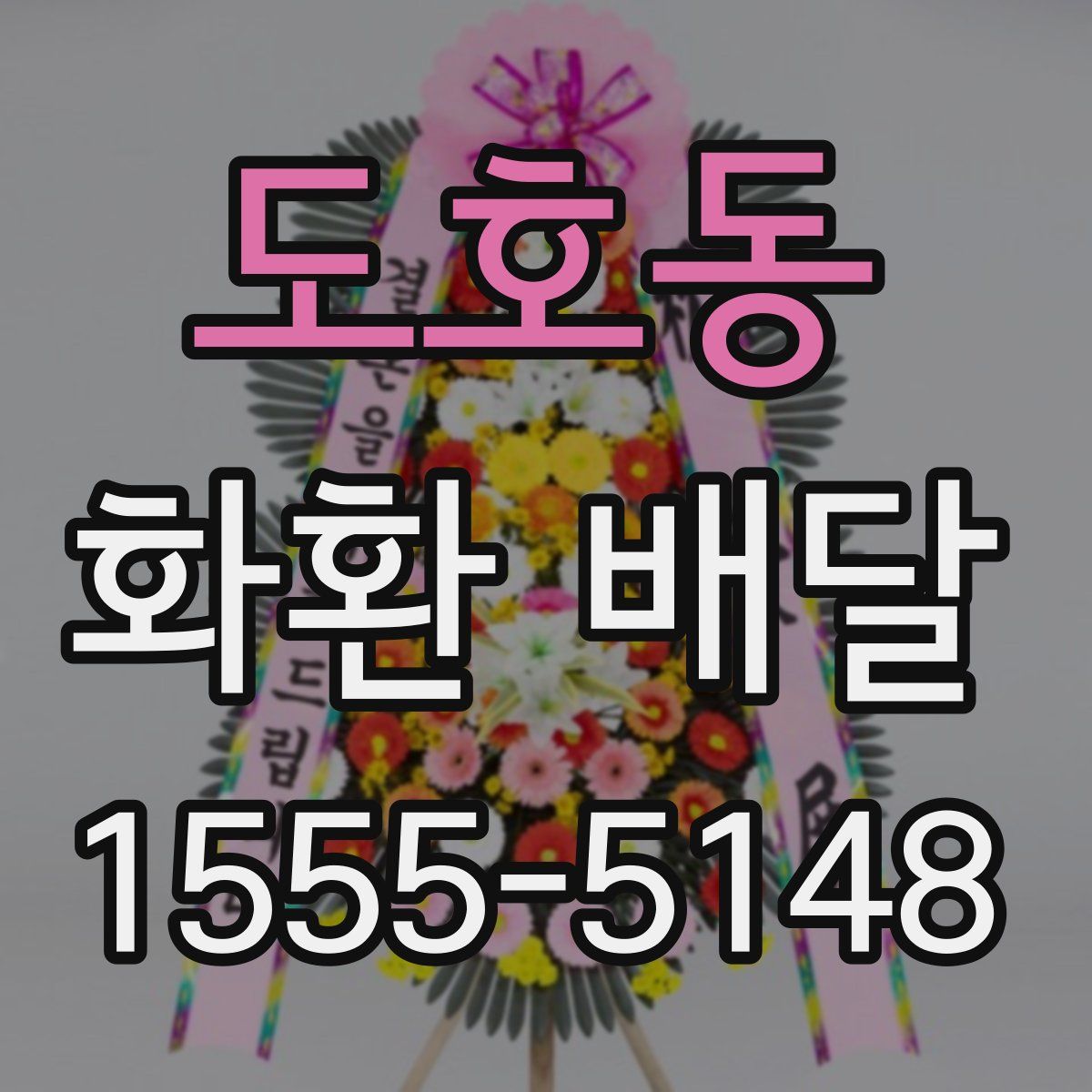 도호동 화환 배달