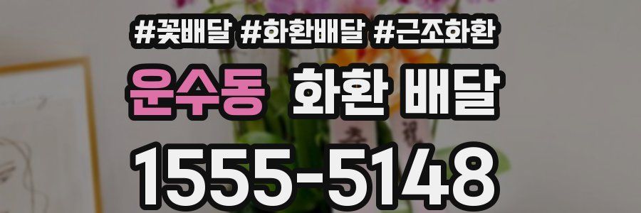 운수동 화환 배달