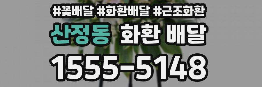 산정동 화환 배달