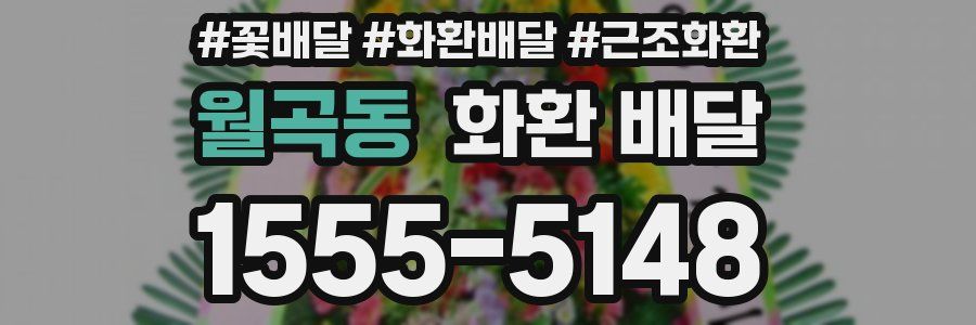 월곡동 화환 배달