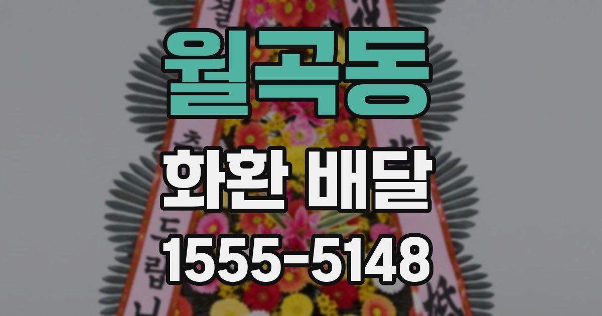 월곡동 화환 배달