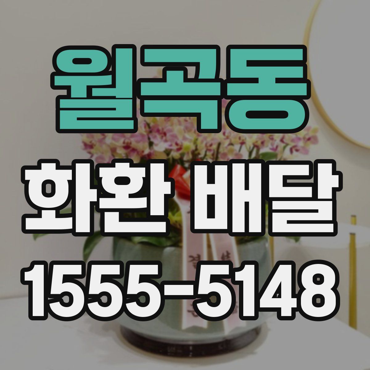 월곡동 화환 배달