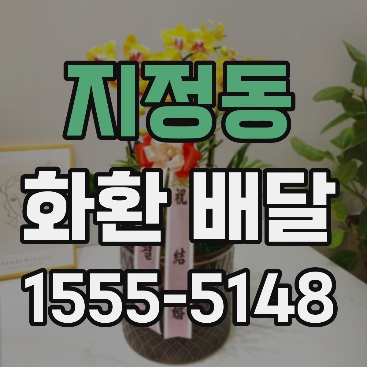 지정동 화환 배달