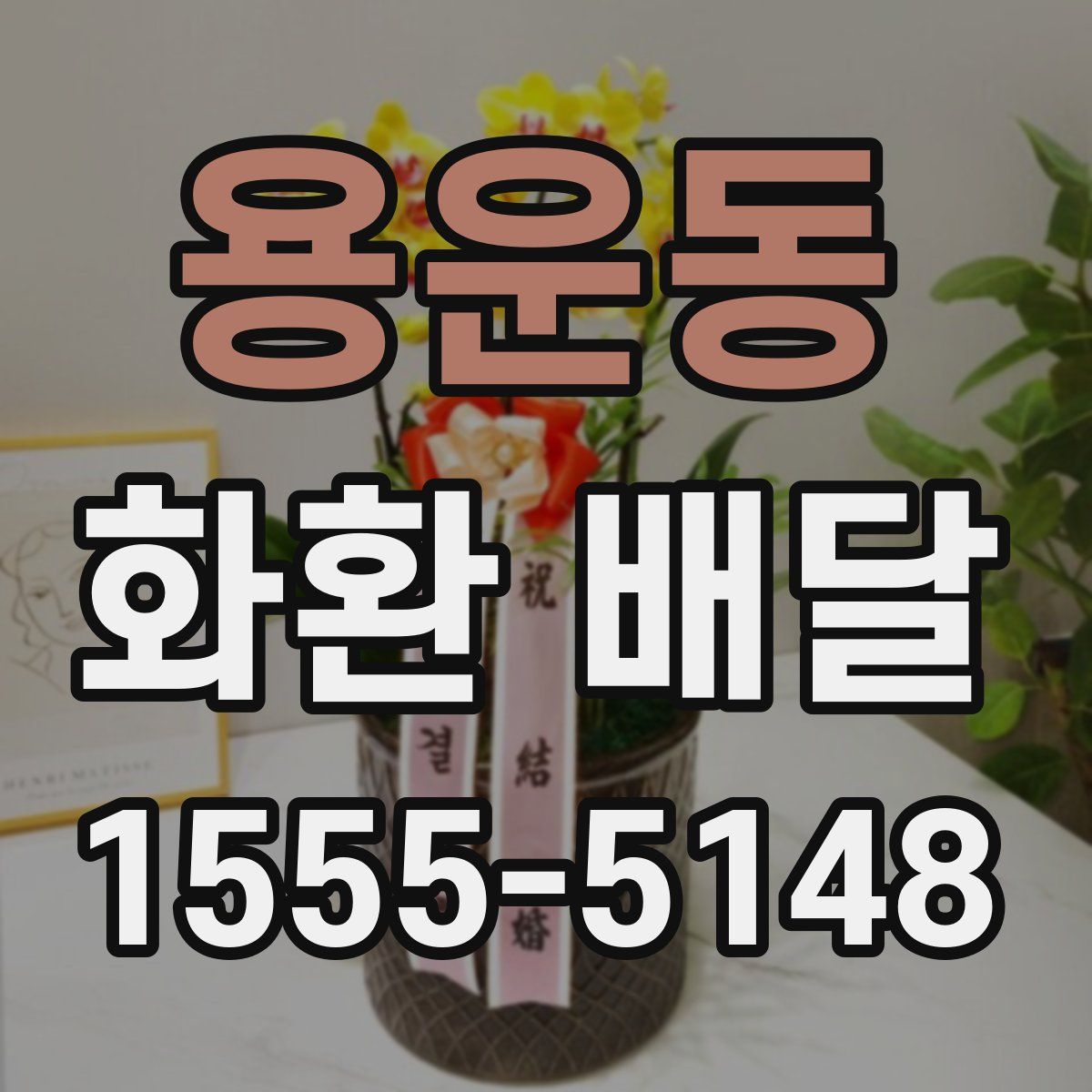 용운동 화환 배달