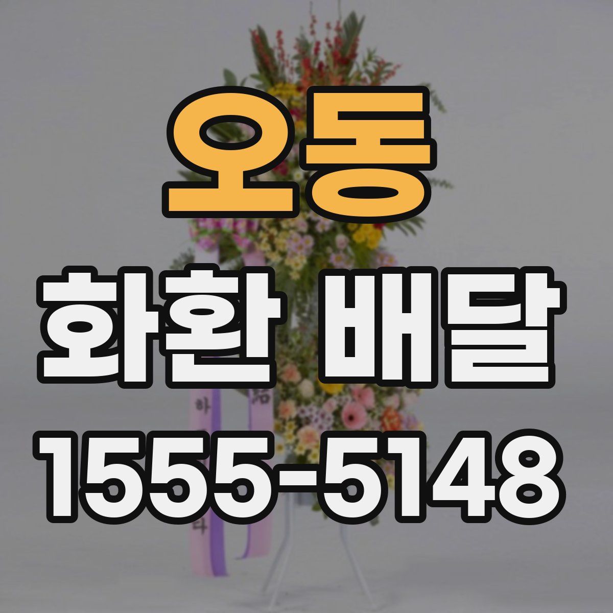 오동 화환 배달