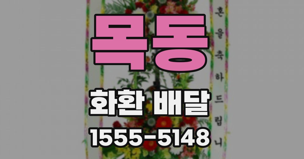 목동 화환 배달