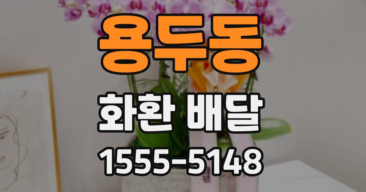 용두동 화환 배달