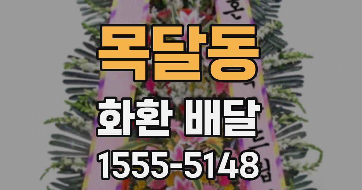 목달동 화환 배달
