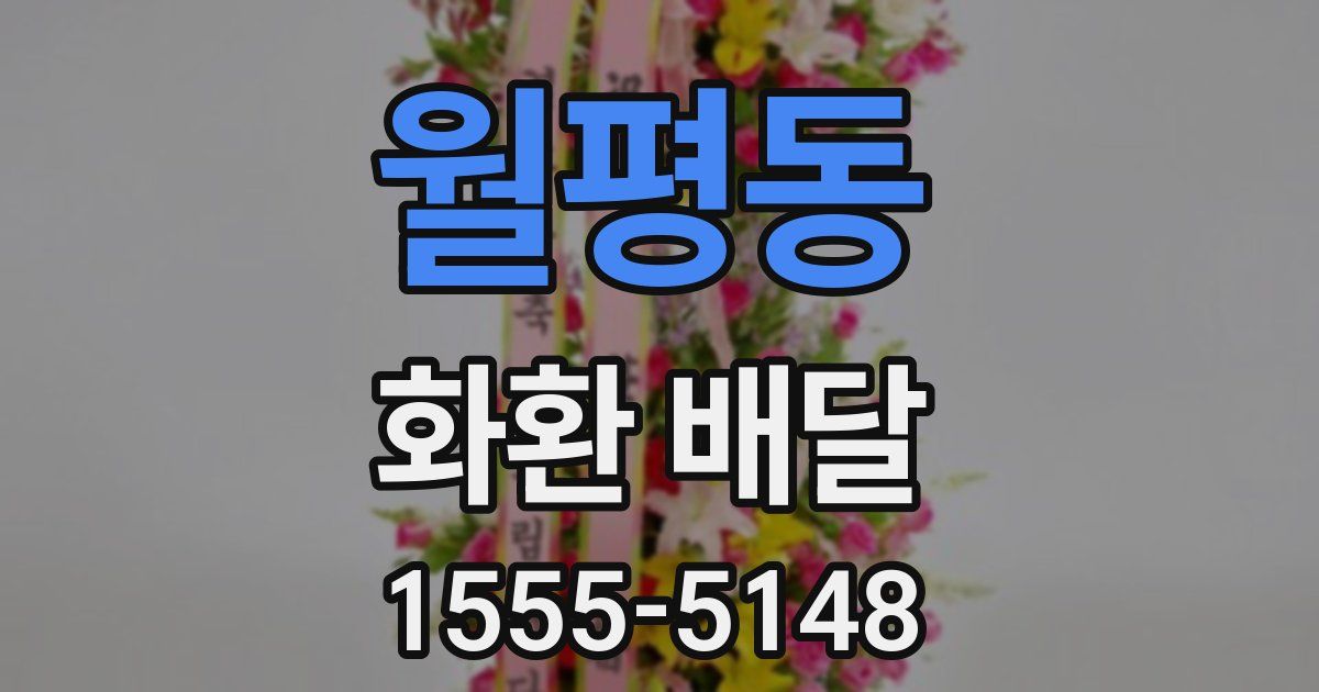 월평동 화환 배달