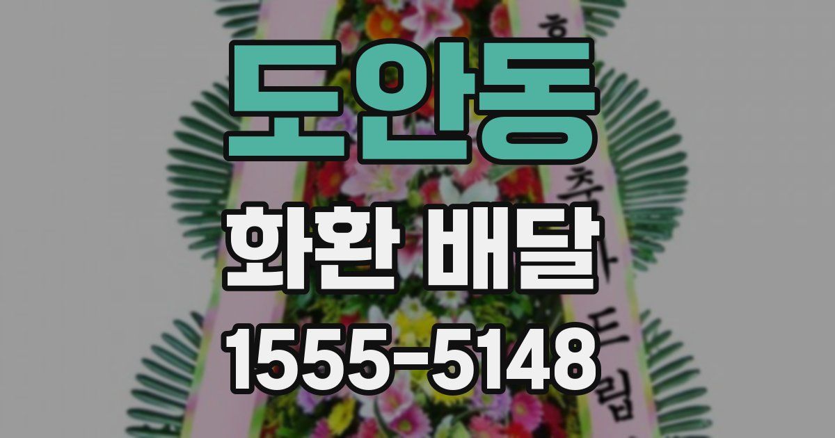 도안동 화환 배달
