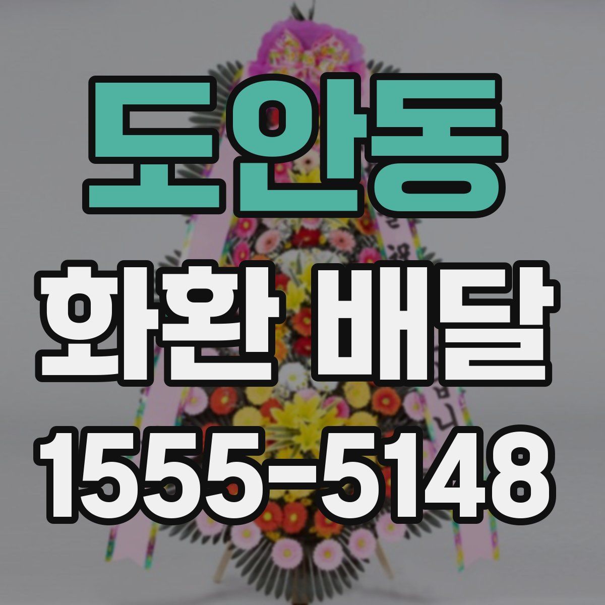 도안동 화환 배달