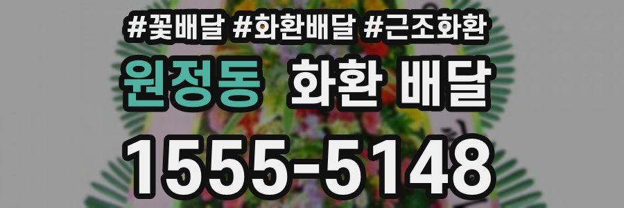 원정동 화환 배달