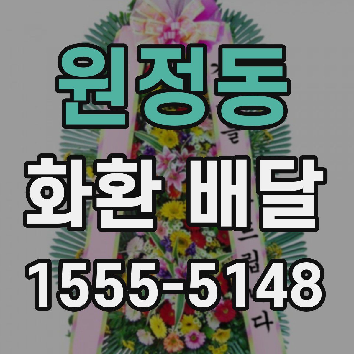 원정동 화환 배달