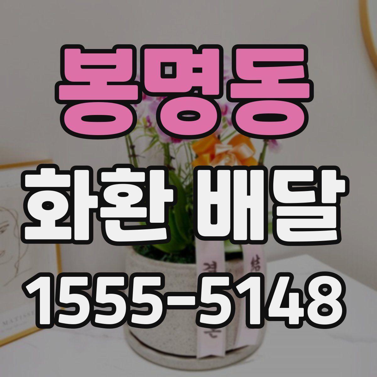 봉명동 화환 배달